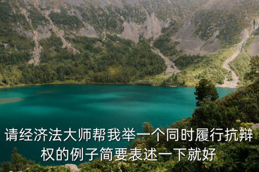 請經(jīng)濟(jì)法大師幫我舉一個同時履行抗辯權(quán)的例子簡要表述一下就好