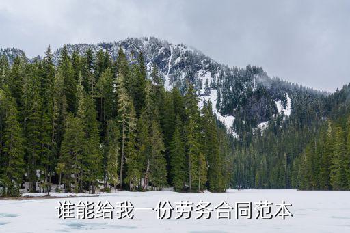 勞務(wù)合伙人合同協(xié)議書，誰能給我一份勞務(wù)合同范本