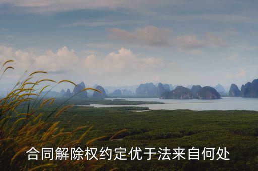 合同解除權(quán)約定優(yōu)于法來(lái)自何處