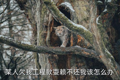 某人欠我工程款耍賴(lài)不還我該怎么辦