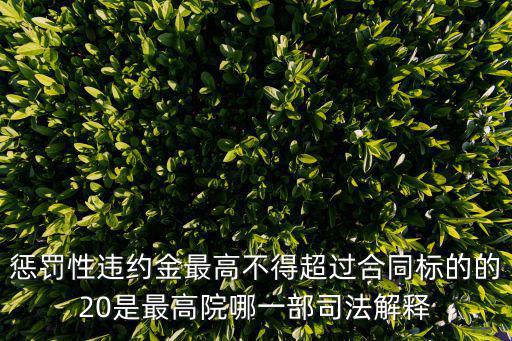 懲罰性違約金最高不得超過合同標(biāo)的的20是最高院哪一部司法解釋