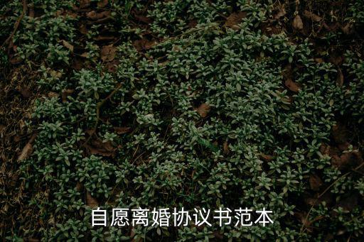 自愿離婚協(xié)議書范本