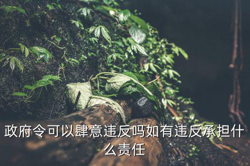 政府令百度百科，政府令可以肆意違反嗎如有違反承擔(dān)什么責(zé)任