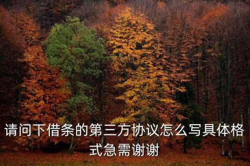 第三方合同模板，請(qǐng)問下借條的第三方協(xié)議怎么寫具體格式急需謝謝
