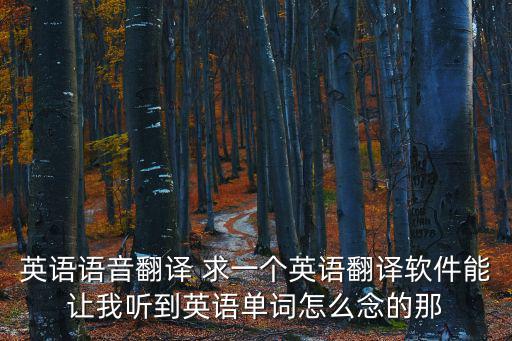 英語語音翻譯 求一個英語翻譯軟件能讓我聽到英語單詞怎么念的那