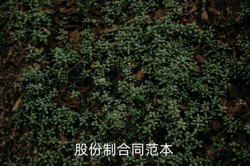 股份制合同范本
