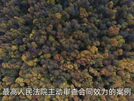 確認合同效力之訴案例，合同一方當(dāng)事人未履行合同義務(wù)卻提起訴訟請求確認合同有效法院