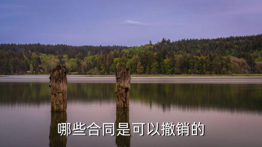 哪些合同是可以撤銷的