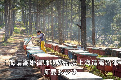 上海請(qǐng)一個(gè)律師要多少錢，上海請(qǐng)離婚律師收費(fèi)標(biāo)準(zhǔn)上海請(qǐng)離婚律師要多少錢