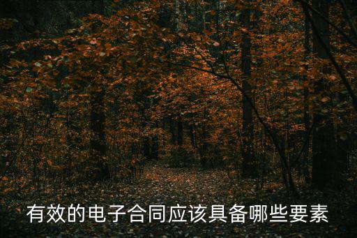 有效的電子合同應(yīng)該具備哪些要素