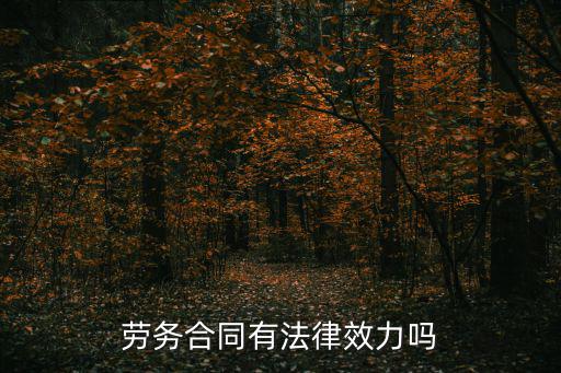 勞務(wù)合同有法律約束力嗎，勞動(dòng)協(xié)議勞務(wù)協(xié)議有沒有法律效力