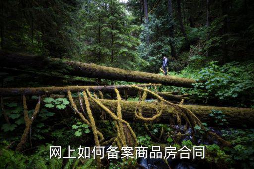 網上合同備案怎么操作，購房合同備案流程最新解答