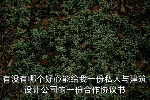 有沒有哪個(gè)好心能給我一份私人與建筑設(shè)計(jì)公司的一份合作協(xié)議書