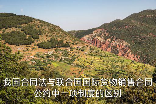 我國合同法與聯(lián)合國國際貨物銷售合同公約中一項(xiàng)制度的區(qū)別