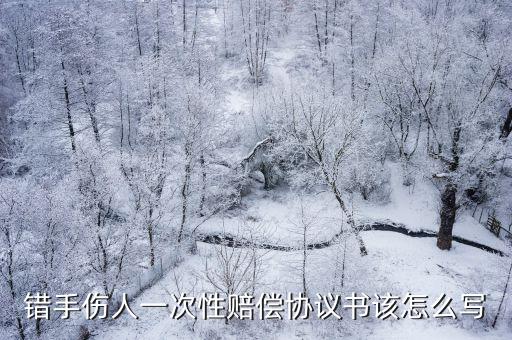 錯手傷人一次性賠償協(xié)議書該怎么寫