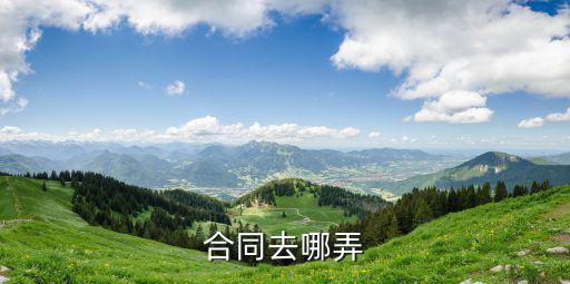想擬一份合同去哪，合同去哪弄