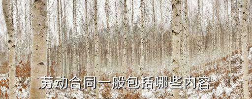 勞動(dòng)合同一般包括哪些內(nèi)容