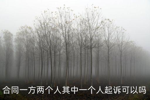 合同一方兩個(gè)人其中一個(gè)人起訴可以嗎