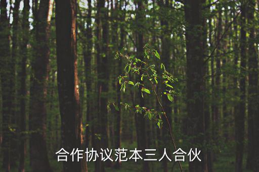 合作協(xié)議范本三人合伙