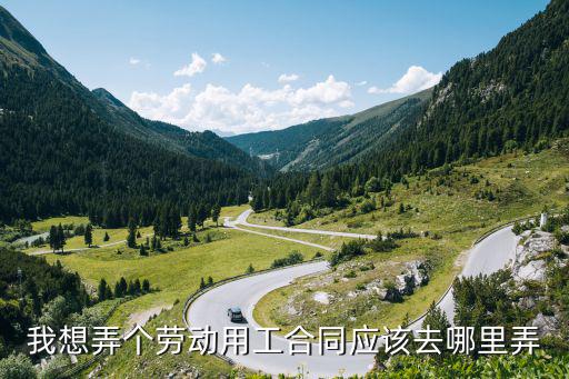我想弄個(gè)勞動(dòng)用工合同應(yīng)該去哪里弄