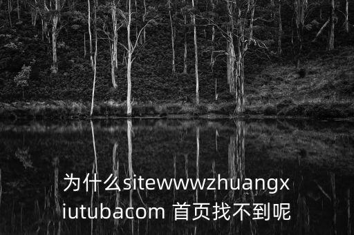 為什么sitewwwzhuangxiutubacom 首頁找不到呢