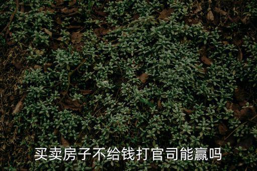 買賣房子不給錢打官司能贏嗎