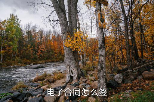 電子合同怎么簽