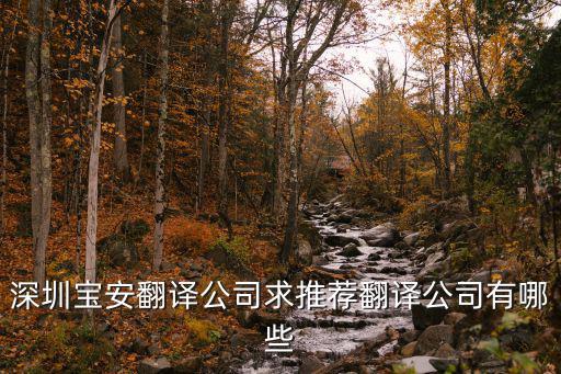 翻譯機構(gòu)，深圳寶安翻譯公司求推薦翻譯公司有哪些