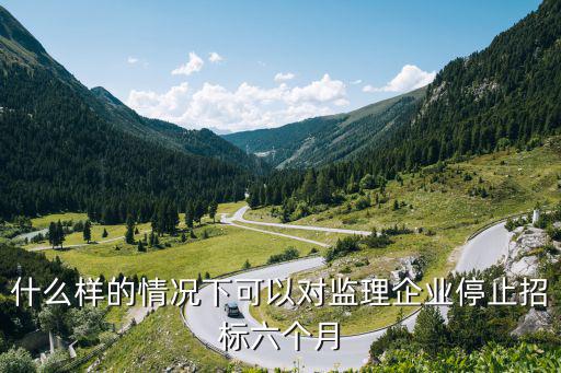 什么樣的情況下可以對(duì)監(jiān)理企業(yè)停止招標(biāo)六個(gè)月