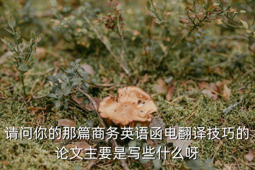 商務(wù)合同英漢互譯技巧論文怎么寫(xiě)，寫(xiě)關(guān)于商務(wù)英語(yǔ)翻譯標(biāo)準(zhǔn)的論文可以寫(xiě)哪些方面