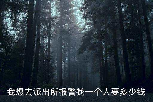 我想去派出所報(bào)警找一個(gè)人要多少錢