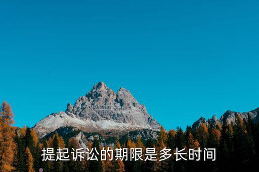 提起訴訟的期限是多長時間
