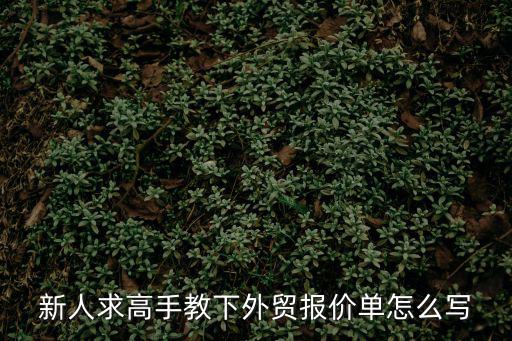 外貿(mào)報(bào)價(jià)單模板及范文，求外貿(mào)報(bào)價(jià)單模板格式下載 外貿(mào)公司報(bào)價(jià)單