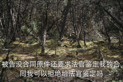 被告沒有合同原件原告有合同，被告沒合同原件還要求法官鑒定我的合同我可以拒絕給法官鑒定嗎