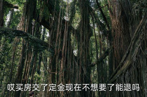 哎買房交了定金現(xiàn)在不想要了能退嗎