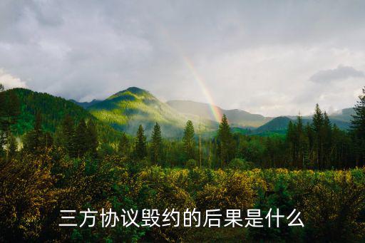 三方協(xié)議違約責(zé)任，三方協(xié)議毀約的后果是什么