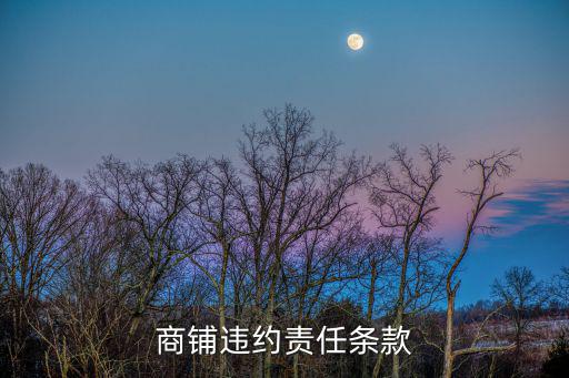 商鋪違約責任條款