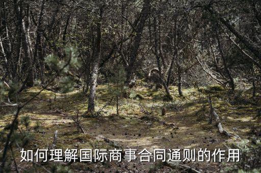 合同法在國(guó)際商法中的作用，我國(guó)合同法與聯(lián)合國(guó)國(guó)際貨物銷售合同公約中一項(xiàng)制度的區(qū)別