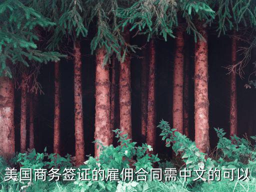 雇傭合同術(shù)語翻譯英文，business negotiation術(shù)語英文解釋