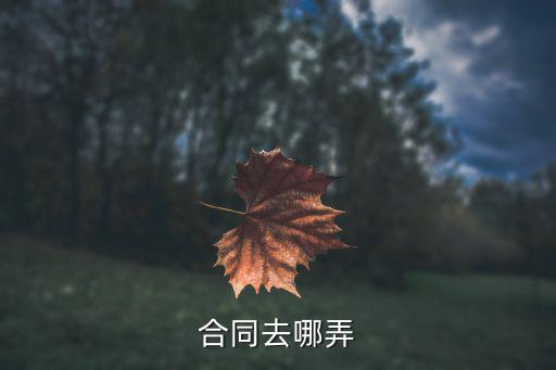 合同去哪弄