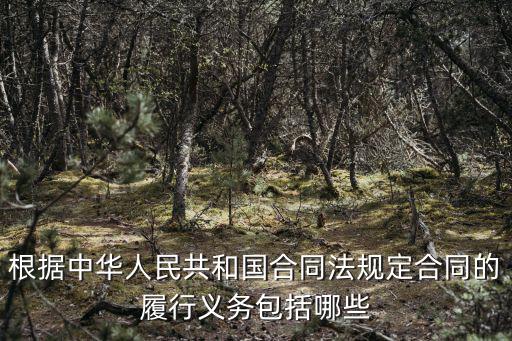 合同法履行合同義務(wù)的規(guī)定，合同的義務(wù)要怎么進(jìn)行履行