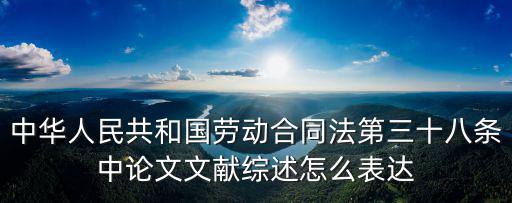中華人民共和國勞動合同法第三十八條中論文文獻(xiàn)綜述怎么表達(dá)