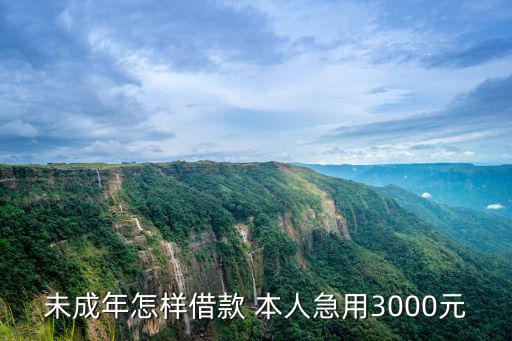 借錢應(yīng)急3000微信轉(zhuǎn)賬18歲，未成年怎樣借款 本人急用3000元