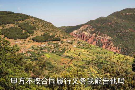 甲方不按合同履行義務(wù)我能告他嗎