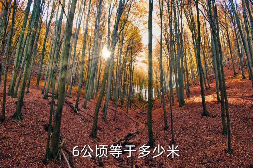 6公頃等于多少米