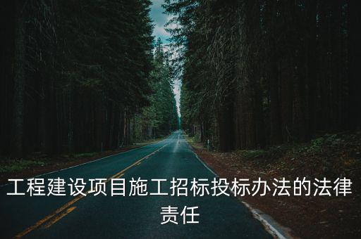 工程建設(shè)項(xiàng)目施工招標(biāo)投標(biāo)辦法的法律責(zé)任