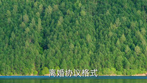 離婚協(xié)議格式