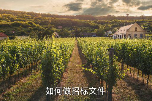 如何做招標文件