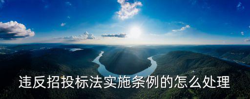 違反招投標法實施條例的怎么處理