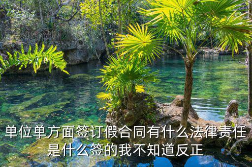 簽訂虛假勞動(dòng)合同法律責(zé)任，假合同什么責(zé)任